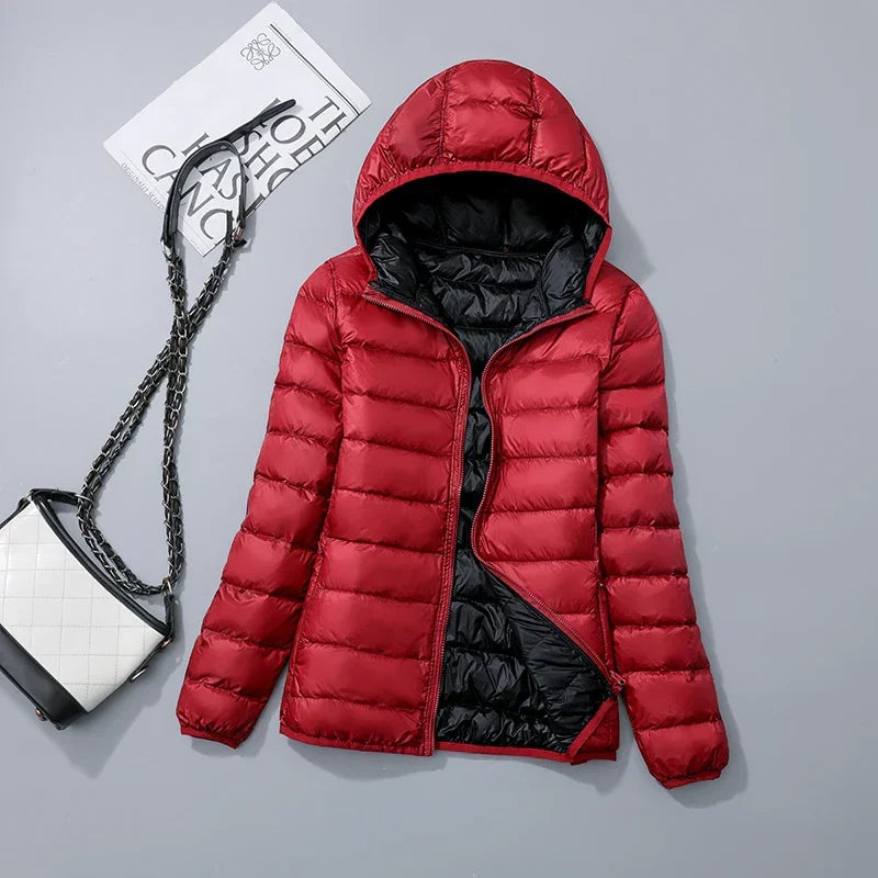 Red / Dark Blue